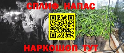 кокс Гай